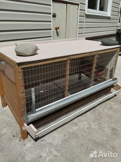 Клетки для перепелов бу