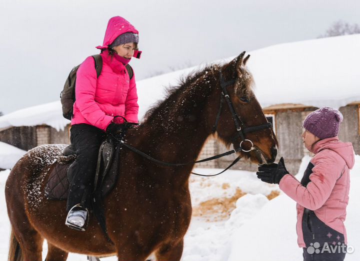 Однодневный конный поход по лесу в Лаишево