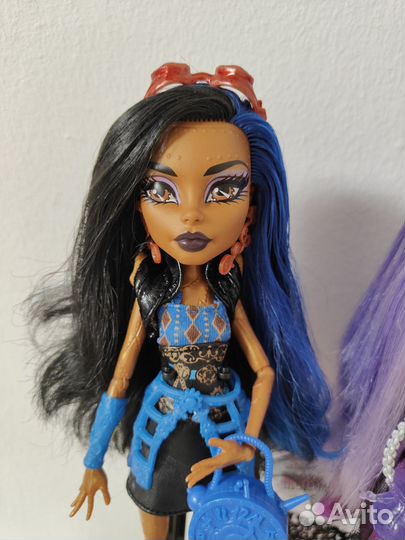 Куклы Монстер Хай базовые редкие