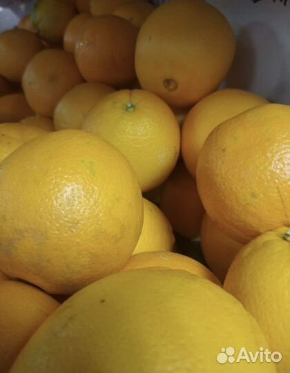 Фрукты овощи