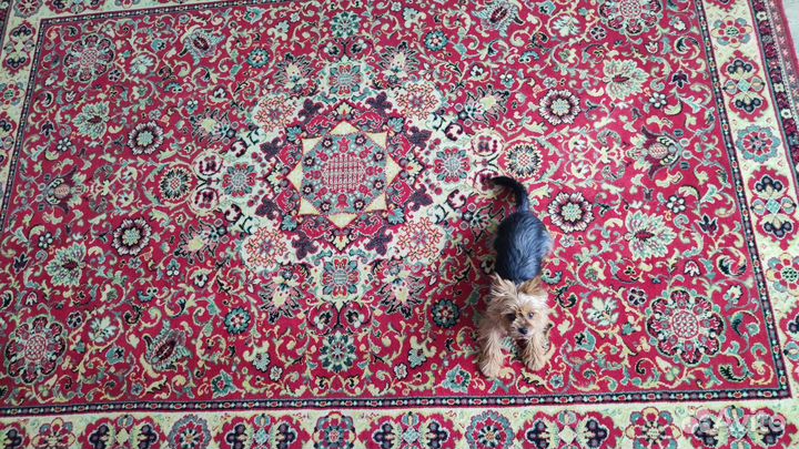 Ковер шерстяной 2 на 3