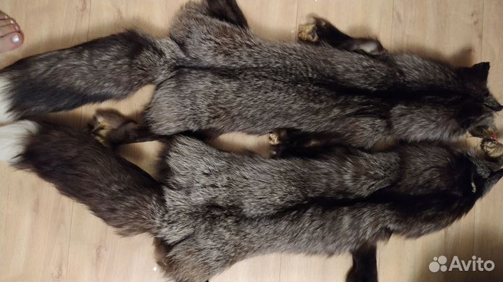 Шкурка чернобурой лисы