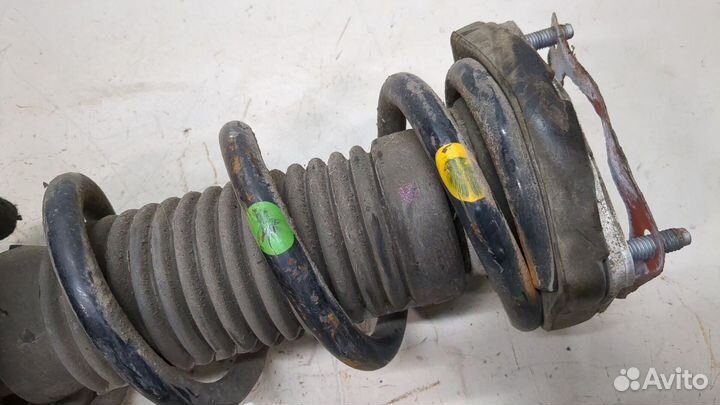 Амортизатор подвески Infiniti Q50, 2015