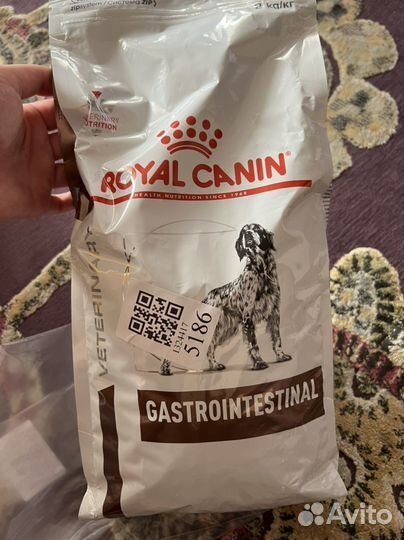 Royal canin gastrointestinal для собак