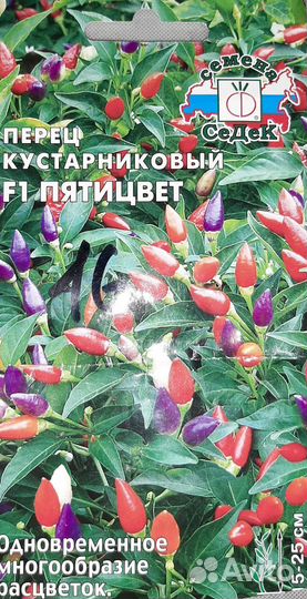 Рассада