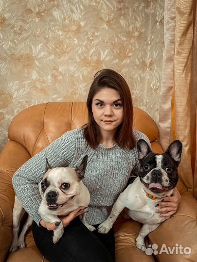 Передержка собак в домашних условиях