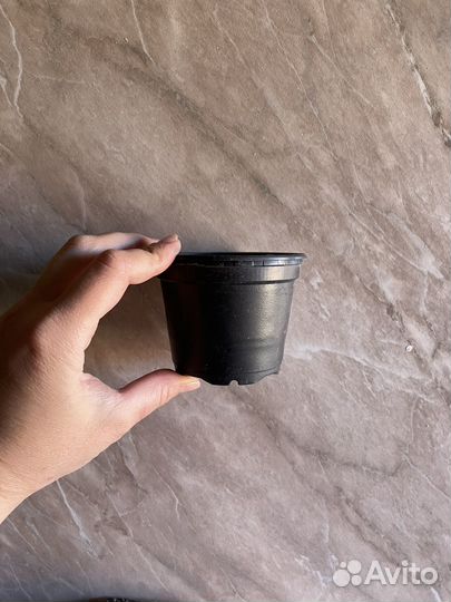 Горшки для рассады