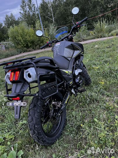 Avantis tourist 250