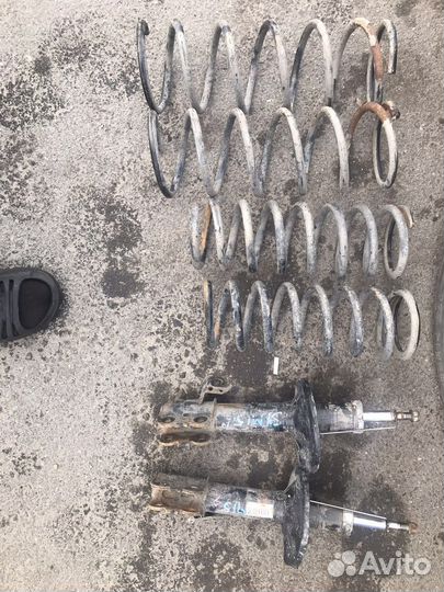 Пружины ipsum