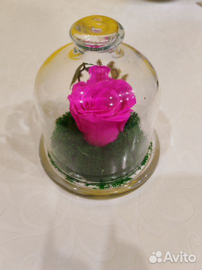 Вечная роза