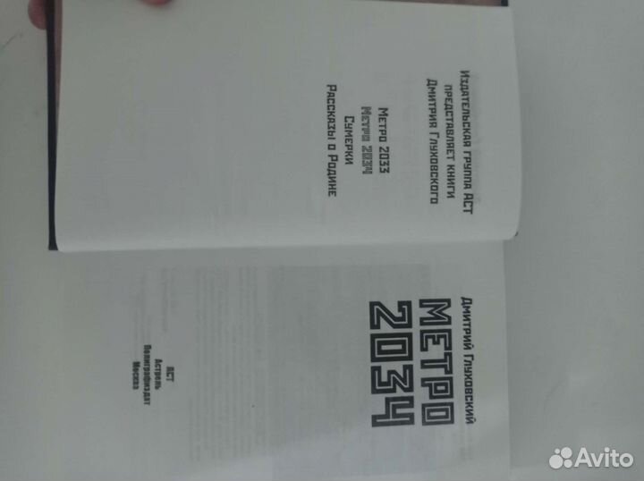 Книга Метро 2034