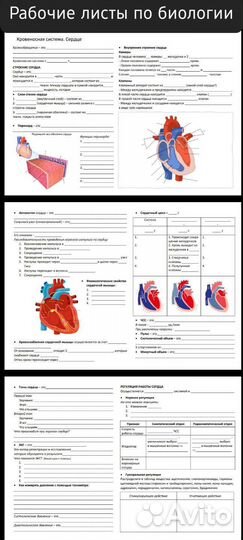 1 занятие со мной 2-3 у другого