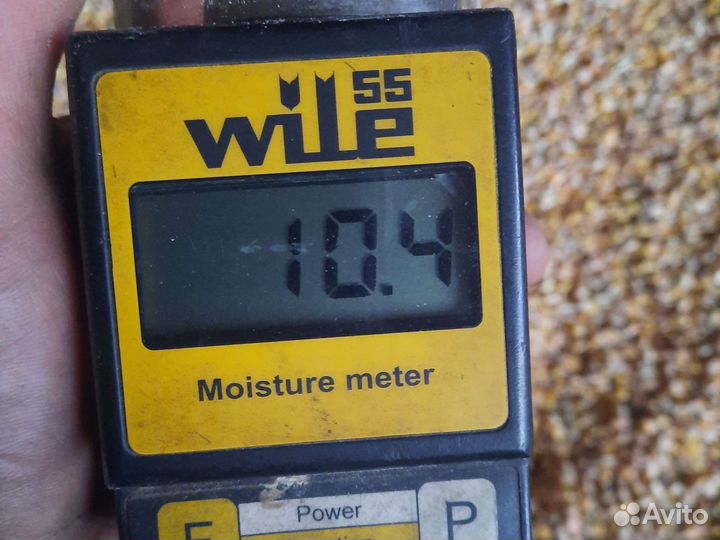 Кукуруза зерно