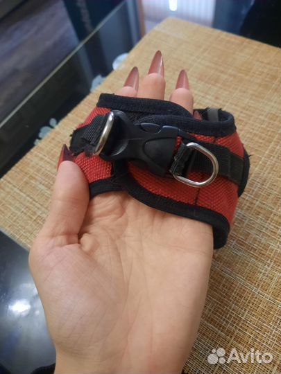 Шлейка для собак и кошек