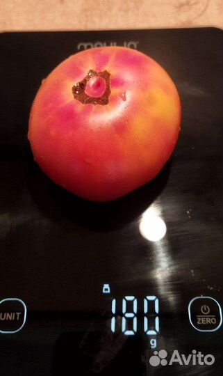 Семена коллекционных сортов томатов