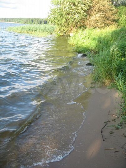 Участок 81 сот. (СНТ, ДНП)