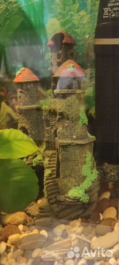 Аквариум с рыбками