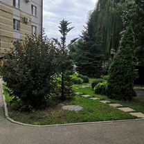 Офис, 60 м²