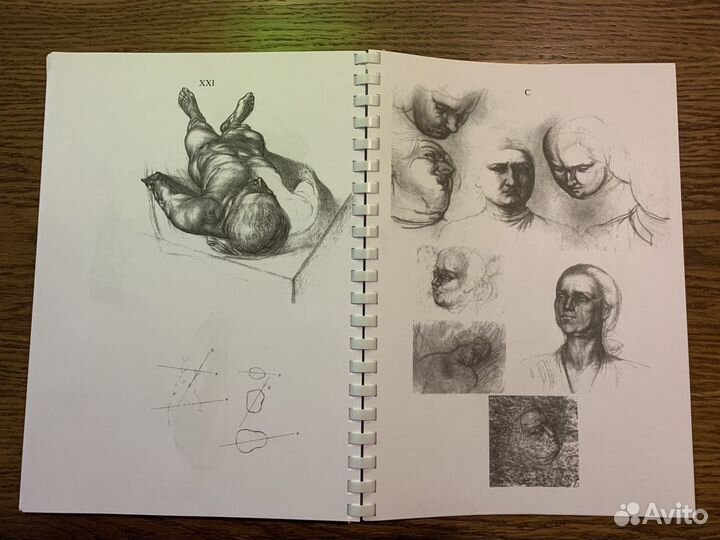 Анатомия для художников. Енё Барчаи