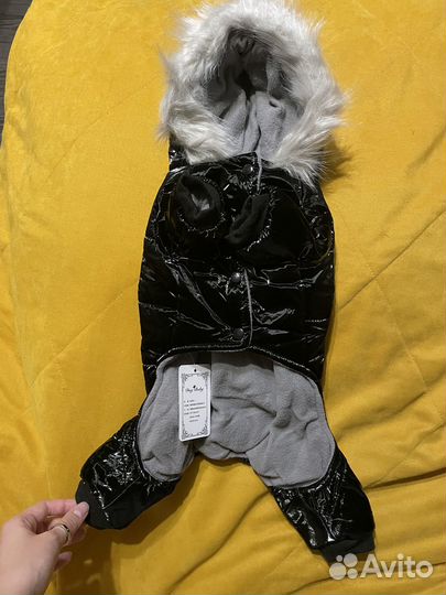 Одежда для собак