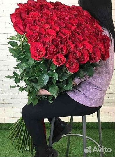 Высокие розы Гигантские Розы 150 160 170 180 190см