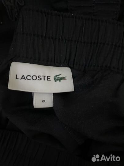 Новые шорты lacoste 2024 оригинал