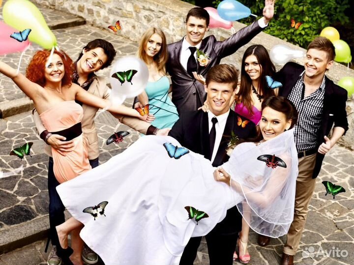 Салют из Живых Тропических Бабочек с/б-32