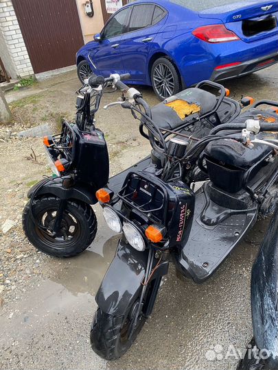 Разборка Honda zoomer af58