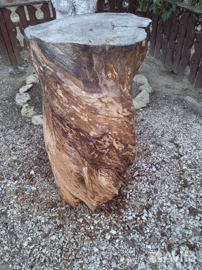 Спил ствола дерева