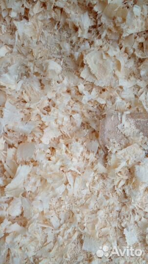 Древесная стружка оптом