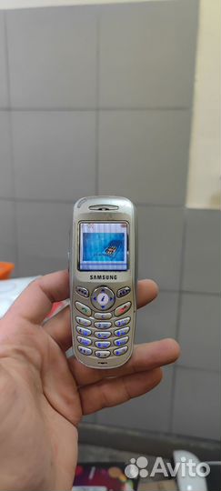 Samsung SGH-X100