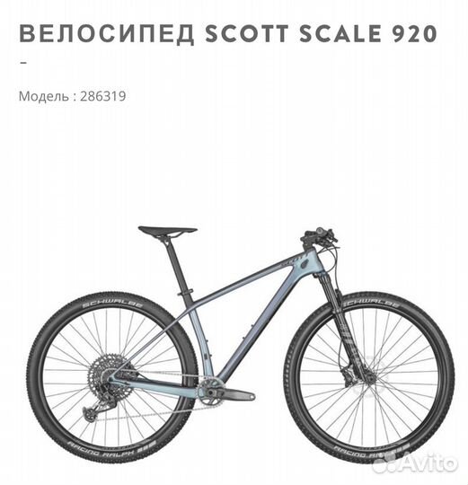 Scott scale 920 (2022)