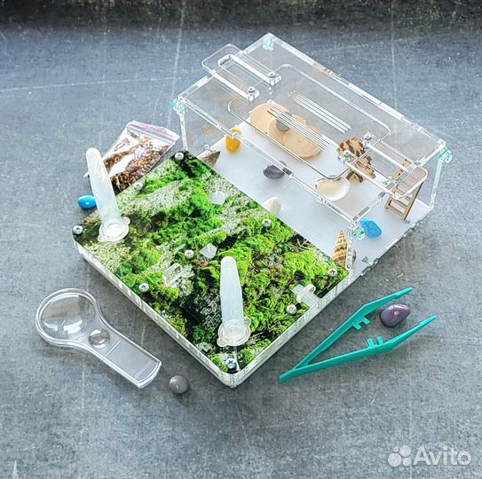 Муравьиная ферма новая + муравьи, корм и декор