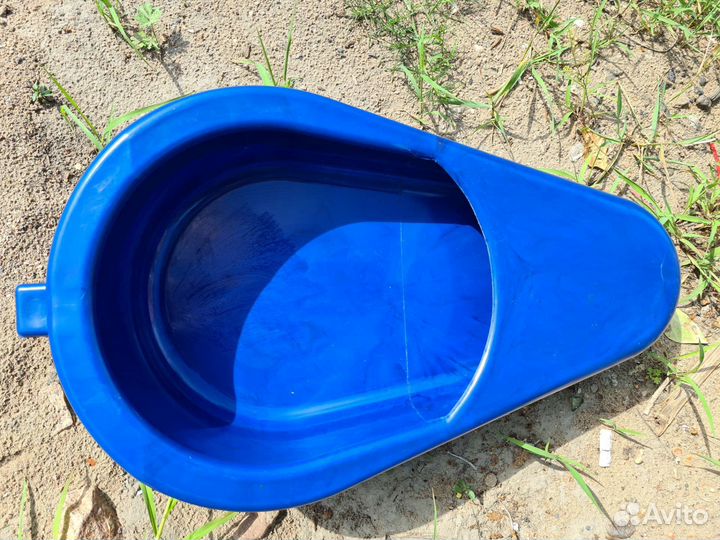 Утка медицинская