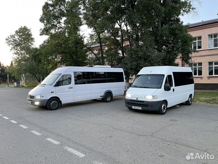 Пассажирские перевозки