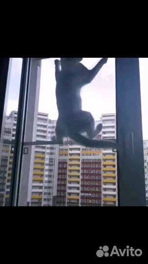 Москитные сетки