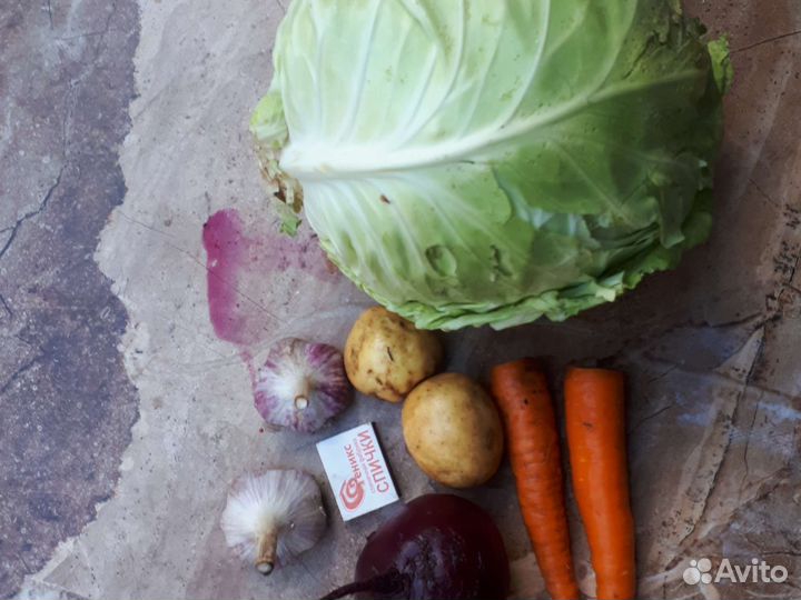Картофель капуста морковь свекла чеснок