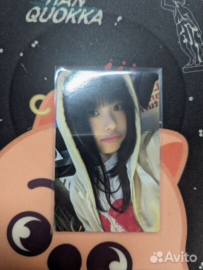 Карта Ханни NewJeans из мембершипа