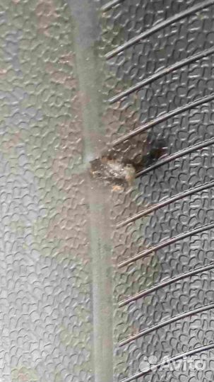 Pirelli P Zero 265/35 R20