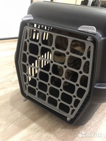 Переноска для кошек новая