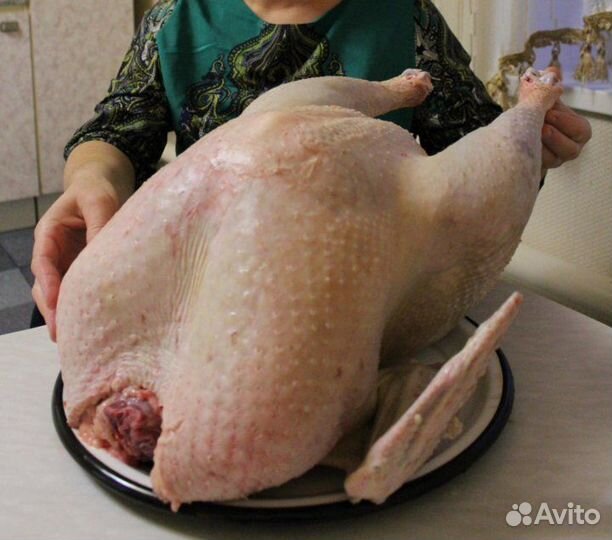 Мясо индейки