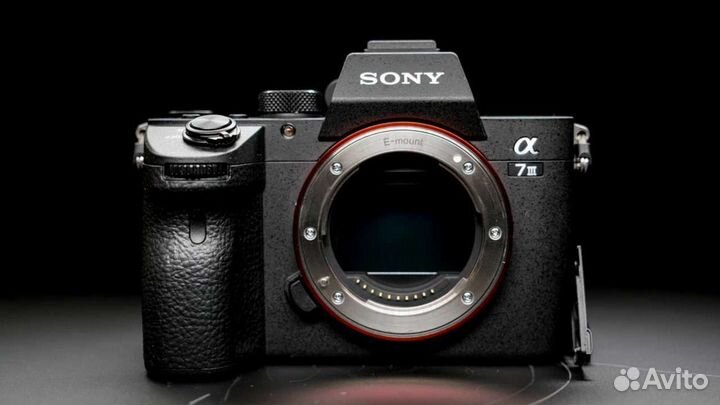 Фотоаппарат Sony Alpha ilce-7RM3