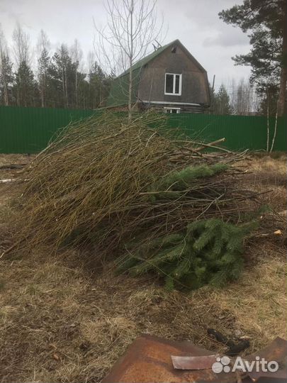 Спил деревьев. Корчевание пней
