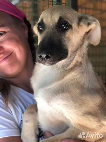 Он еще малыш, ему тяжело ищет маму