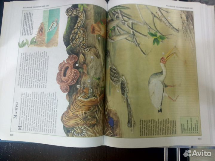 Большая иллюстрированная энциклопедия знаний