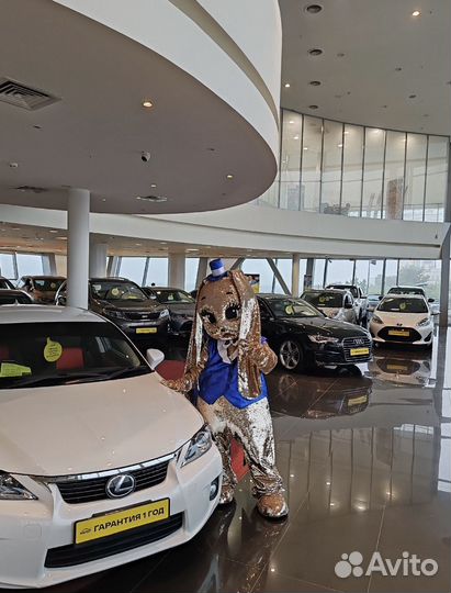 Ростовая кукла, аниматор Зайка