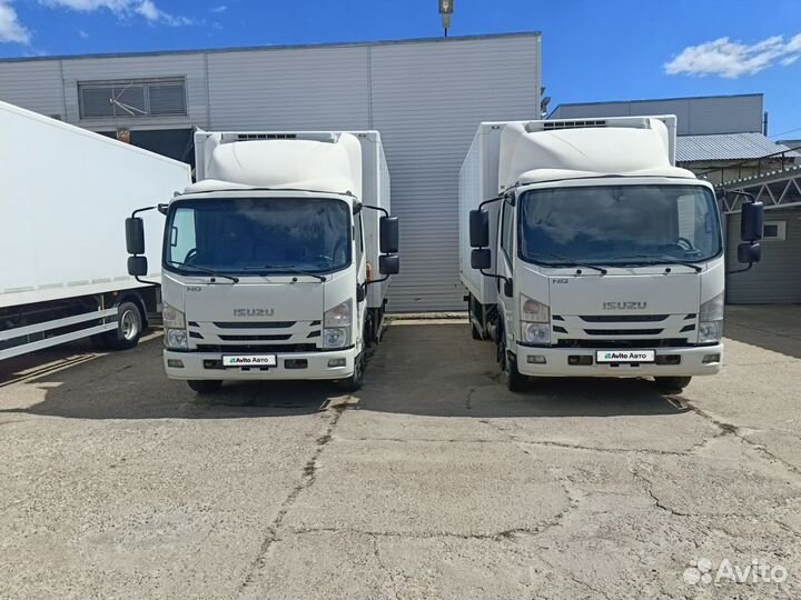 Isuzu Elf (N-series), 2019