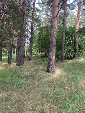 Участок 24 сот. (ИЖС)