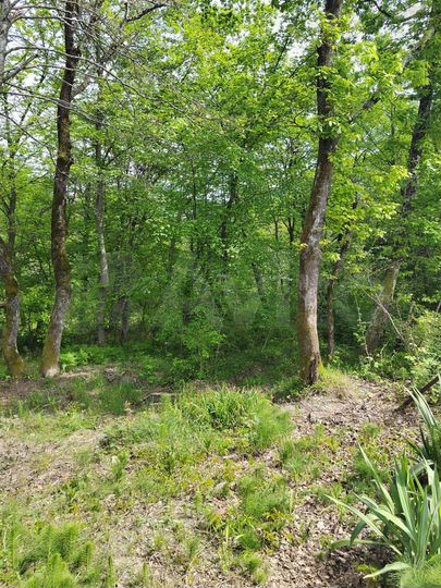 Дом 228 м² на участке 4 сот.