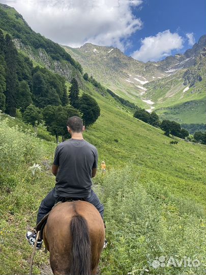 Экскурсиии по Абхазии и Сочи индивидуальные